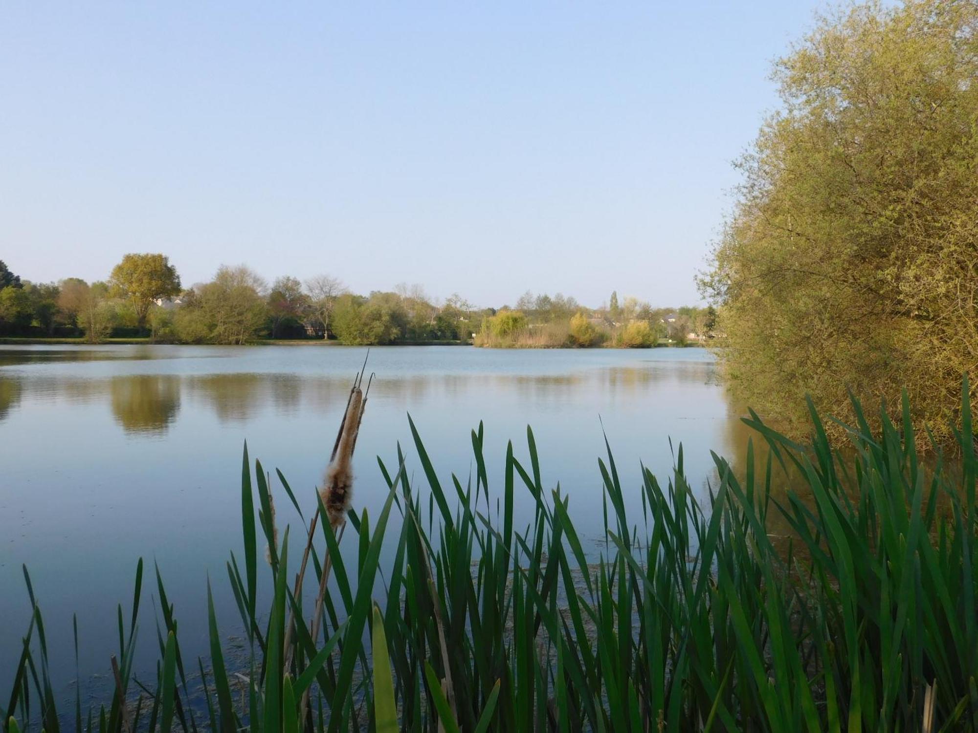Village De Gites Nature Et Jardin Bouere Dış mekan fotoğraf
